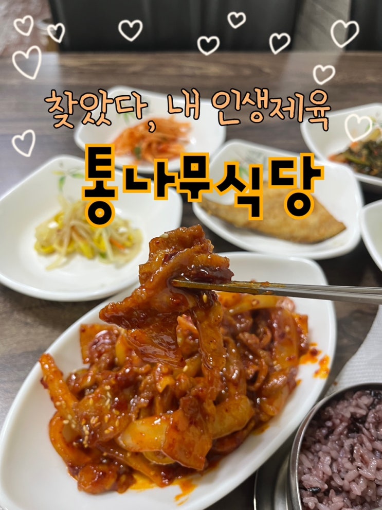  내돈내산 | 드디어 만난 나의 인생 제육, 인심좋은 어르신 두분이 운영하시는 한식백반 맛집 “통나무식당”