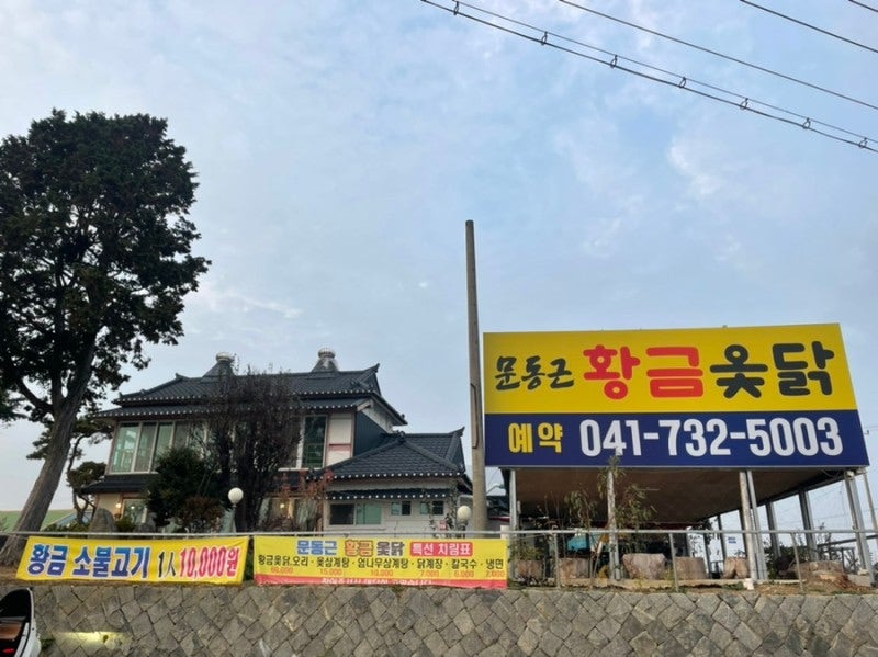 문동근황금옻닭 사진 1