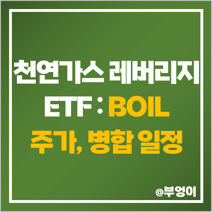 미국 천연가스 레버리지 BOIL ETF 주가, 액면병합 뜻, 일정, 주식 전망 미국 천연가스 레버리지 BOIL ETF 주가, 액면병합 뜻, 일정, 주식 전망