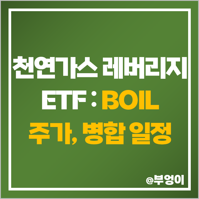 미국 천연가스 레버리지 BOIL ETF 주가, 액면병합 뜻, 일정, 주식 전망