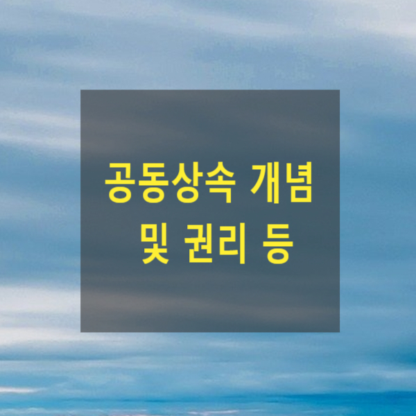  공동상속 개념 및 권리 등