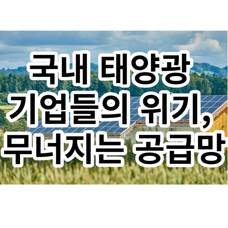 국내 태양광 기업들의 위기, 중국 경쟁에 무너지는 공급망
