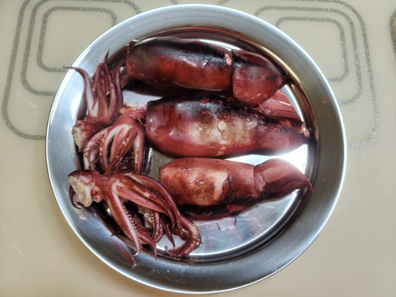 오징어 숙회 무수분 물없이 데치는 법 암수 구별법 정포