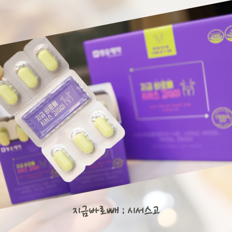  시서스다이어트 지금바로빼 시서스 고(GO) 후기