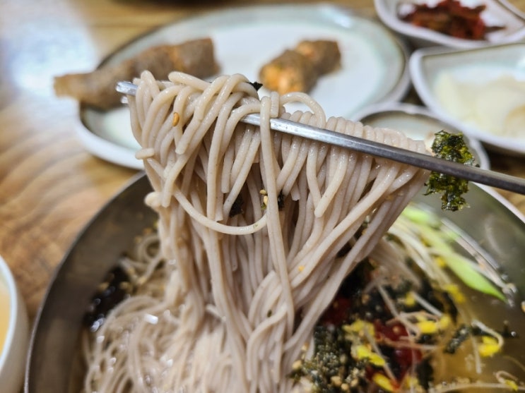  평창 봉평메밀 진미식당 삼삼해서 좋았던 순메밀막국수
