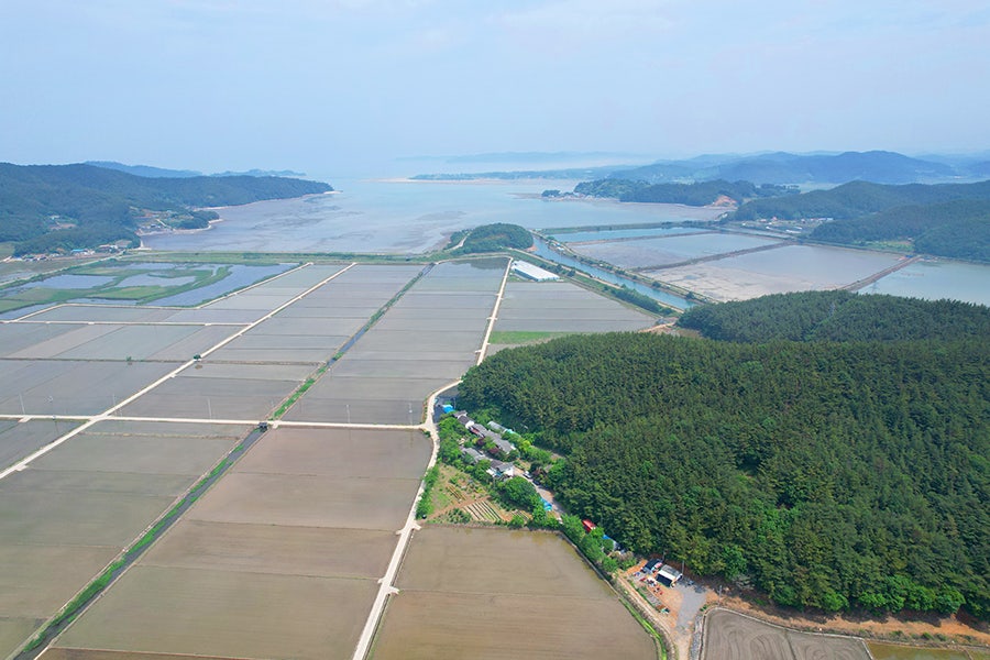 Sandeulaepensyeon photo 5