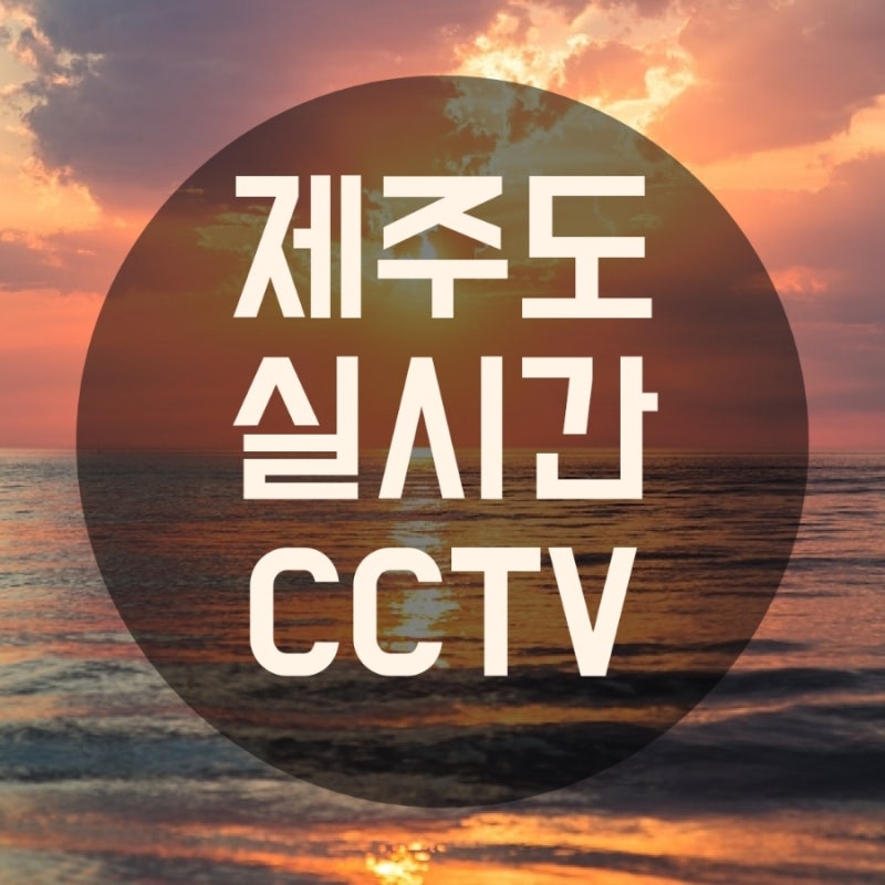 제주도 실시간 CCTV 링크