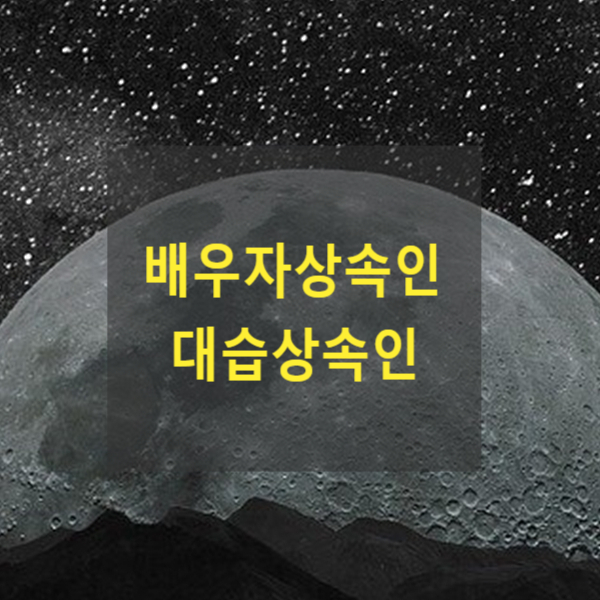  배우자상속인 및 대습상속인(99다13157)