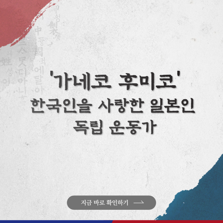  반크 X 외교부 메타버스 외교관 2기    [2단계 - 관심을 실천으로]