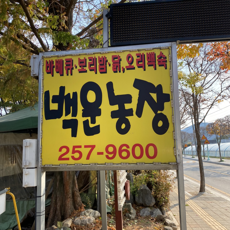 수원 광교산 맛집 백운주말농장