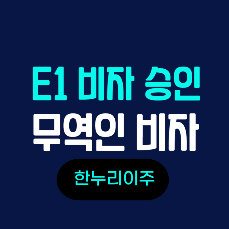  E1 무역인 비자 승인 -  인터뷰 준비
