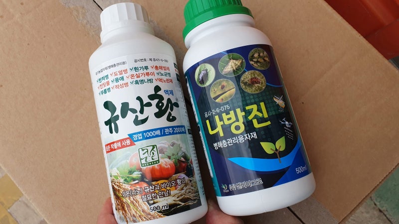 고추 친환경 살충제 규산황 나방진 구매방법