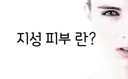 지성 피부 특징과 관리법 그리고 지성 피부를 위한 제품 추천까지! 알려드릴게요~!!