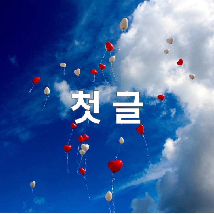  첫 글 : 블로그 방향성에 관한 고민
