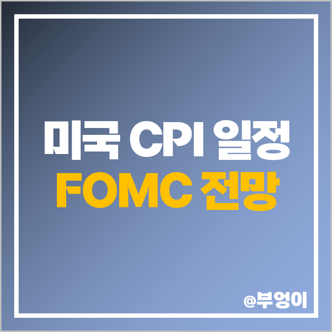 미국 CPI 발표 시간, 5월 CORE 근원 지수 뜻, 예상치 : 6월 FOMC 일정, 동결 전망