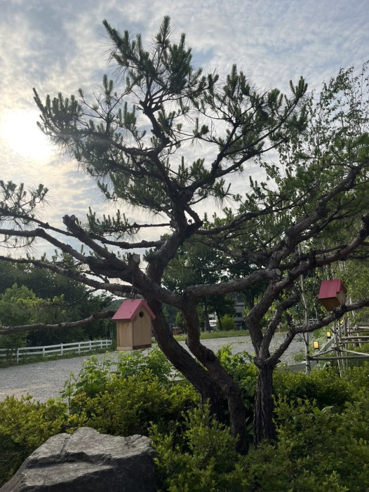  종합소득세 기한후신고
