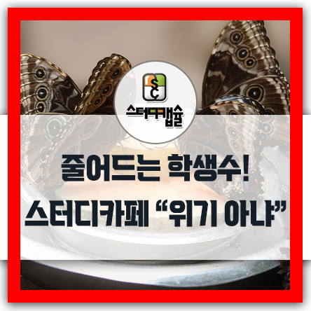  스터디카페 줄어드는 학생수, 학생이 없으면 어떻하지? 시험후 공부인원은 줄지 않는다! 잘파세대와 성인이용자들을 잡아라! 스터디캡슐이면 장기등록자 넘어서 장거리이용자도 받을수있다!