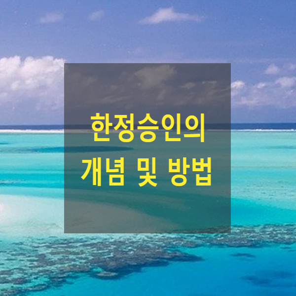  상속 한정승인의 개념 및 방법