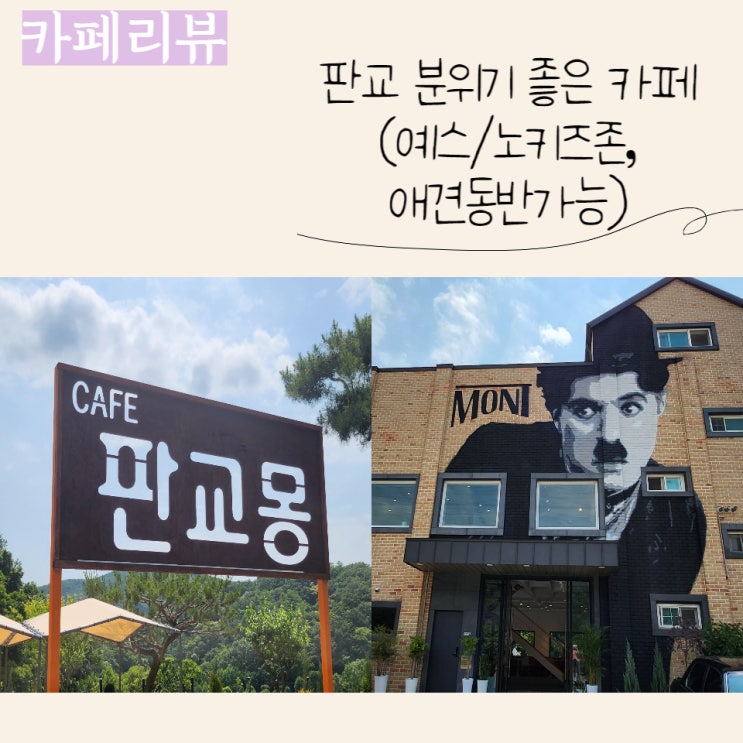  판교 분위기 좋은 베이커리 카페, 판교몽 (애견동반카페)