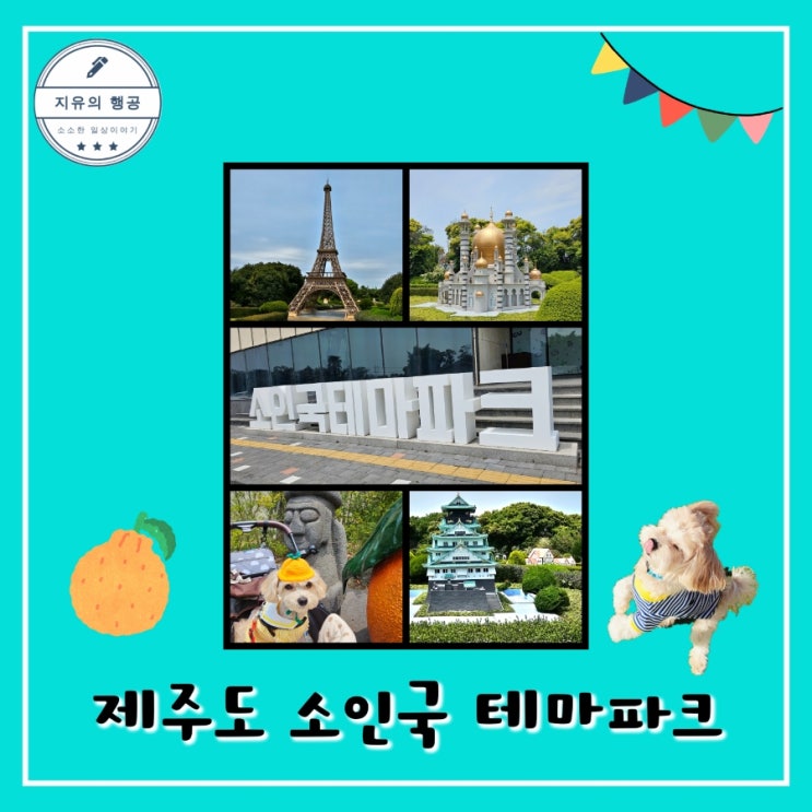  소인국 테마파크ㅣ애견동반 제주 여행 인생 사진 찍기 좋은곳 내돈내산