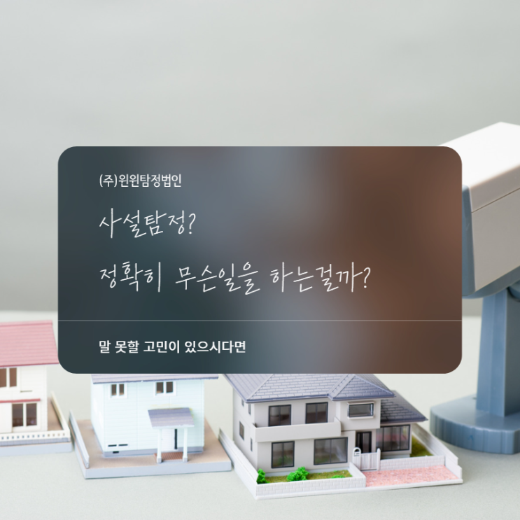  사설탐정 정확하게 어떤 일을 하는걸까?