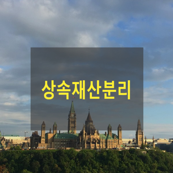  채권자 등의 상속재산 분리청구