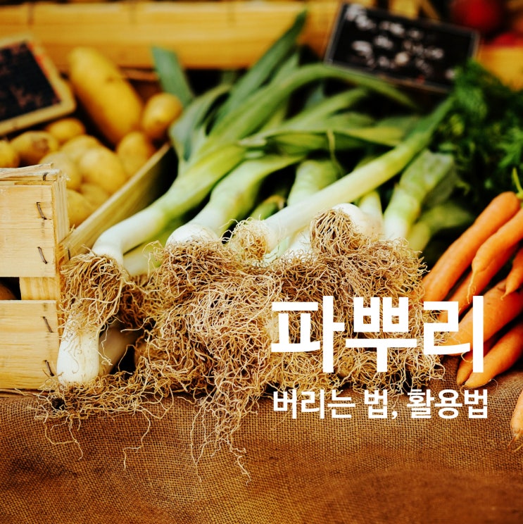  파뿌리음식물 쓰레기여부, 효능 및 활용법 (천연감기약)