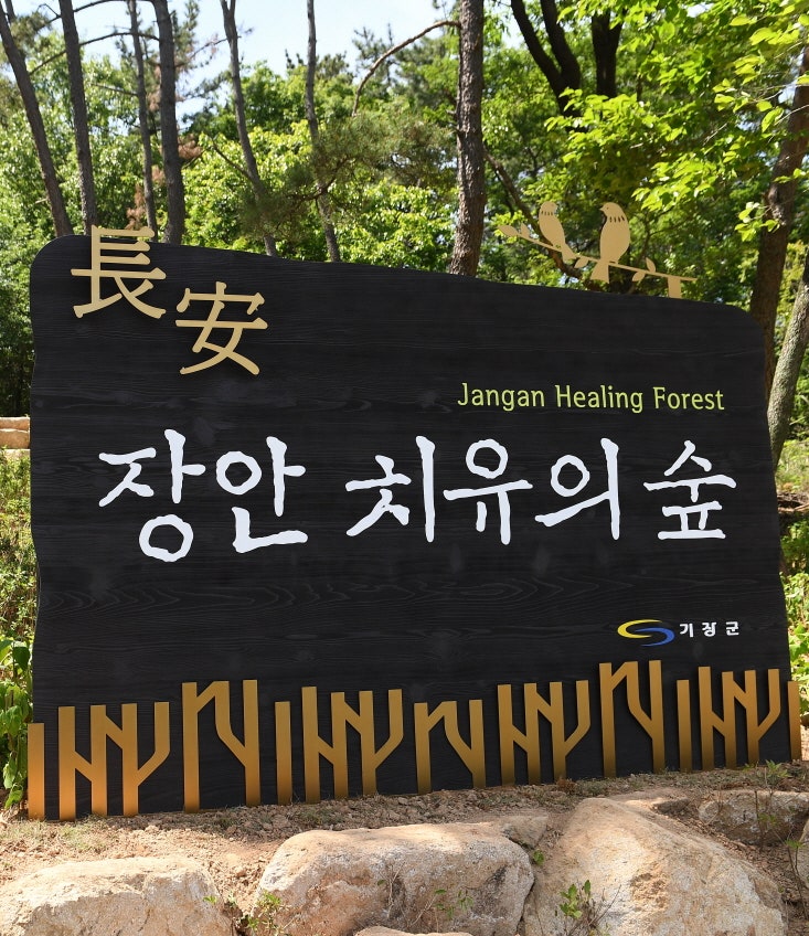 장안 치유의 숲에서 숲속놀이터, 황토숲길 등 즐기자