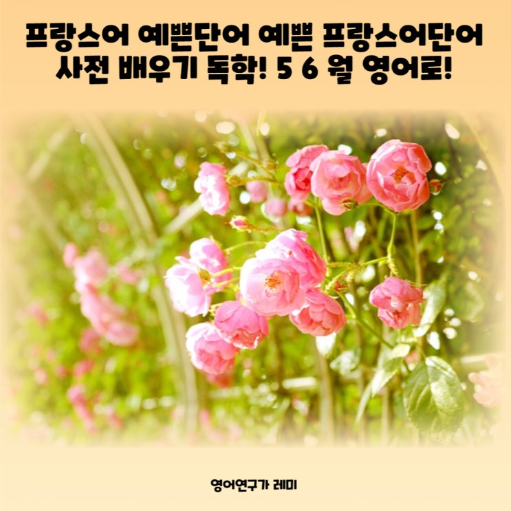 프랑스어 예쁜단어 예쁜 프랑스어단어 사전 배우기 독학! 5 6 월 영어로! 프랑스어 예쁜단어 예쁜 프랑스어단어 사전 배우기 독학! 5 6 월 영어로!