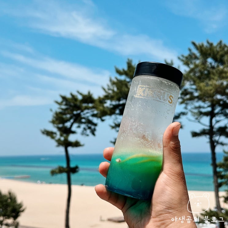  강릉 커피거리 키크러스커피 연탄빵과 신메뉴 파트로커피 맛있어