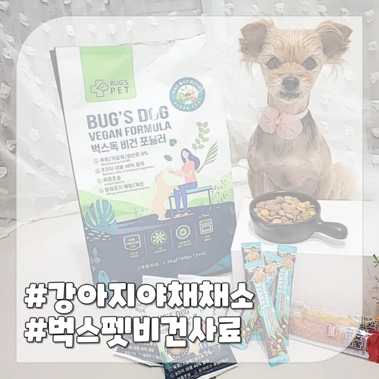  강아지 췌장염 간수치 관리를 위한 채소야채 비건사료