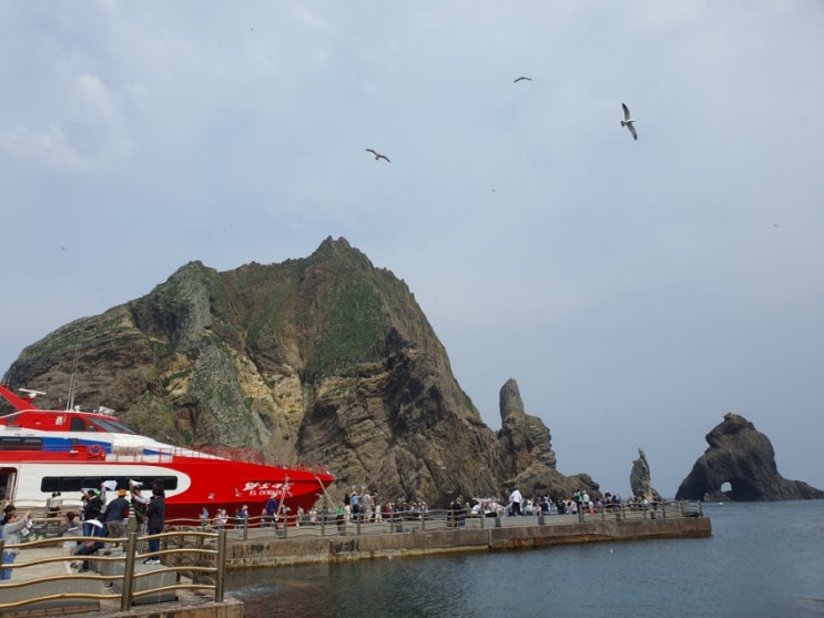 독도 무사히 다녀오고 야생 마가목 효능과 먹는 방법 독도 무사히 다녀오고 야생 마가목 효능과 먹는 방법