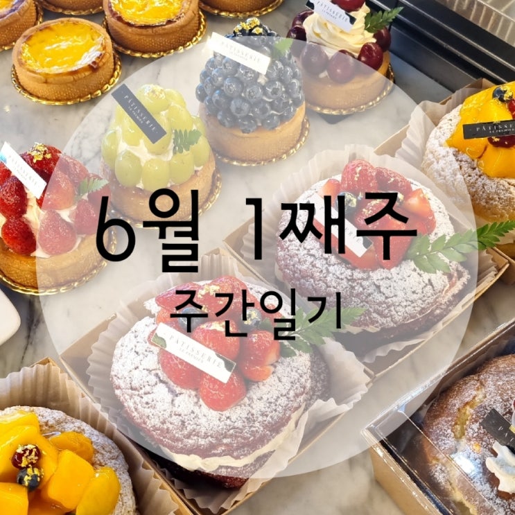  6월 1째주 주간일기 ( 맛있게 냠냠 )