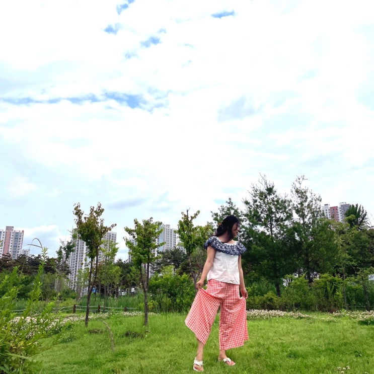  편한 데일리룩 체크밴딩 포켓 롱치마바지 세상편하다
