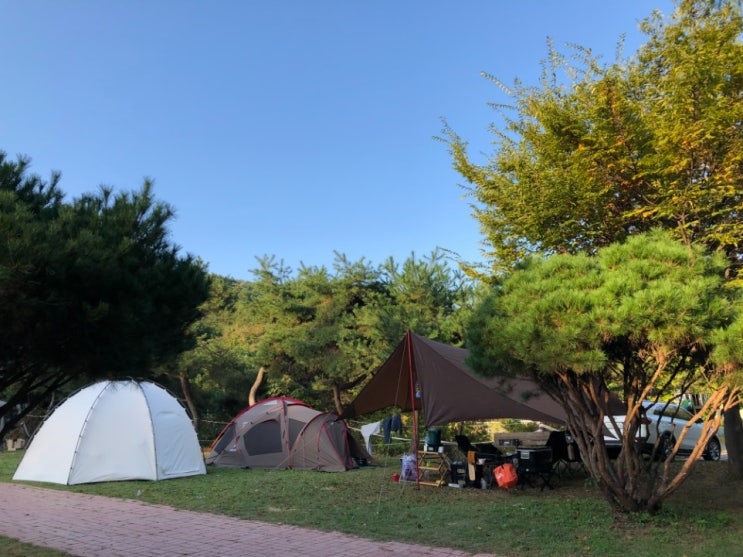 캠핑장 체크인 챌린지. 여주. 해여림빌리지. 캠핑장 체크인 챌린지. 여주. 해여림빌리지.