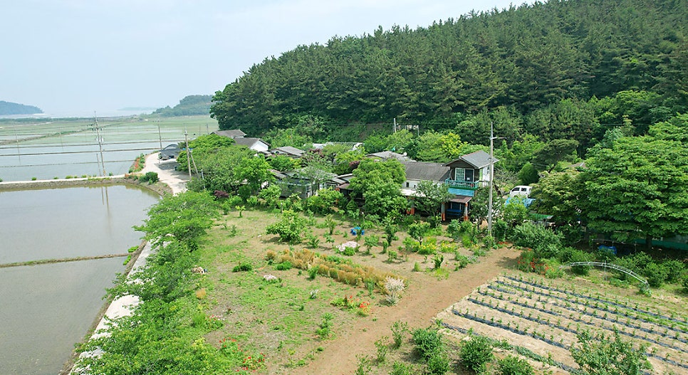Sandeulaepensyeon photo 3