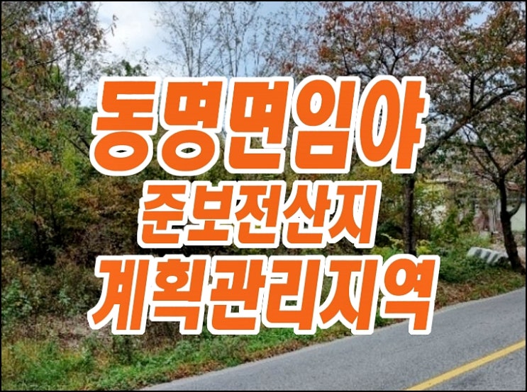 칠곡군 동명면 기성리 팔공산 임야 경매