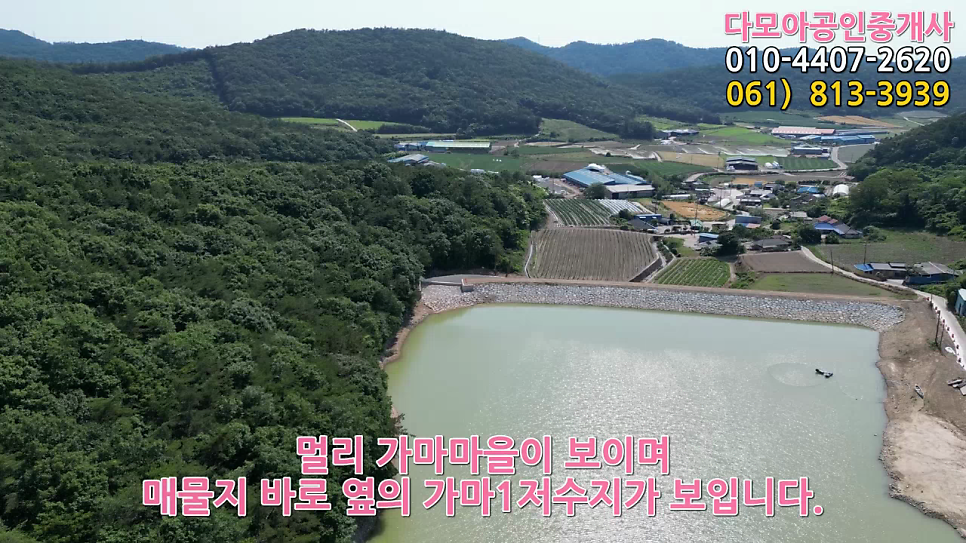 정골 사진 5