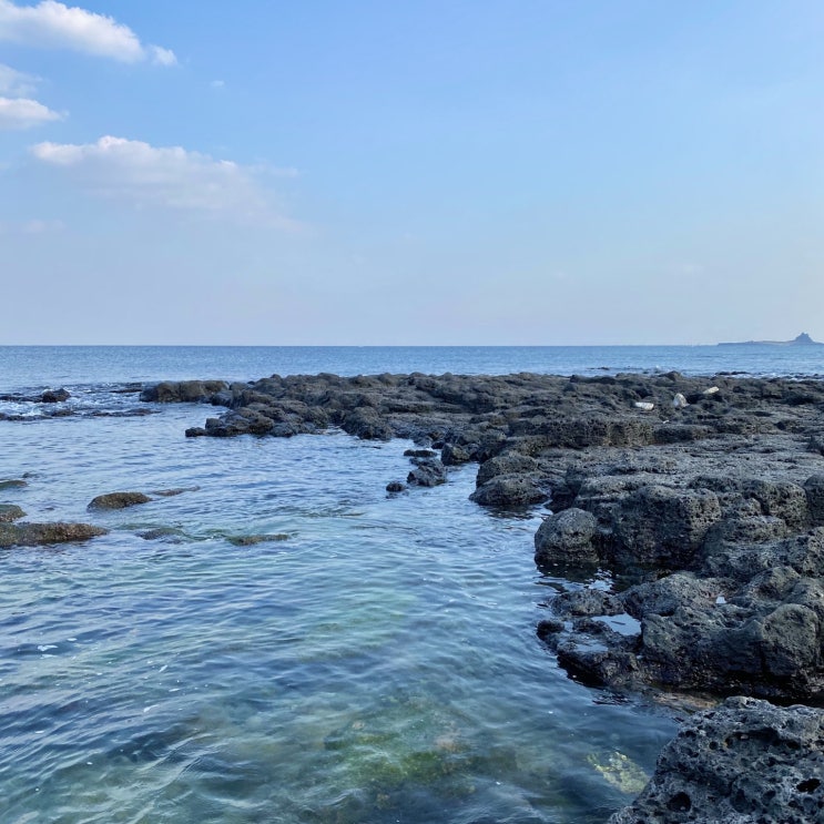  제주도 남서쪽 가볼만한 곳 :: 사계해변, 미카의 달콤한 작업실