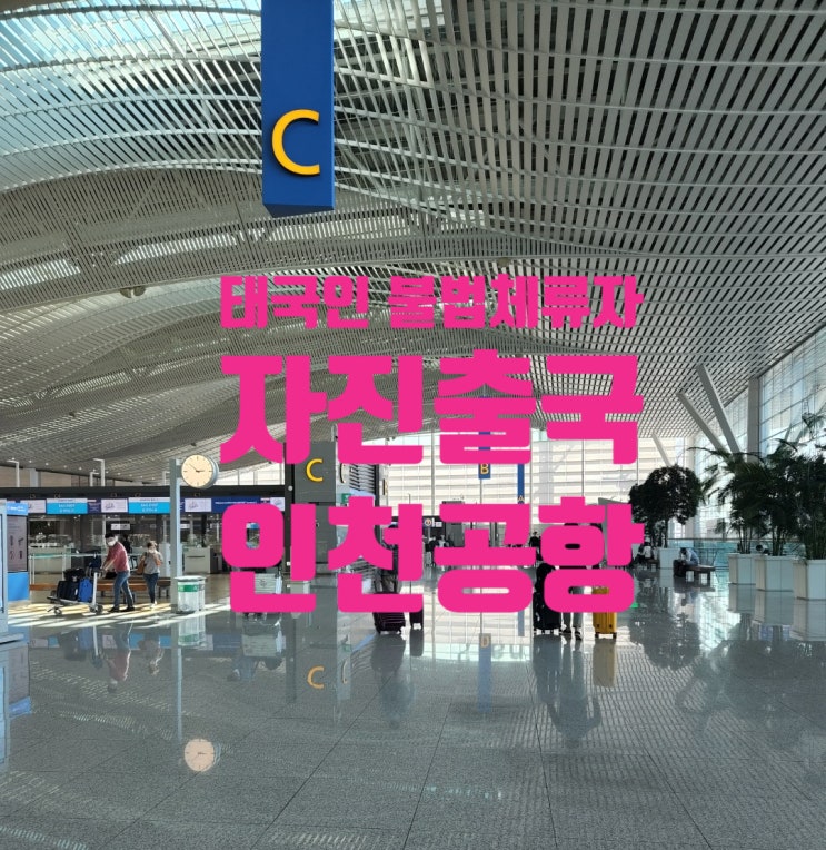 태국결혼비자 F6 불허 후 재신청과 C3 초청비자 재신청_2명의 불법체류자 태국인여성 태국결혼비자 F6 불허 후 재신청과 C3 초청비자 재신청_2명의 불법체류자 태국인여성