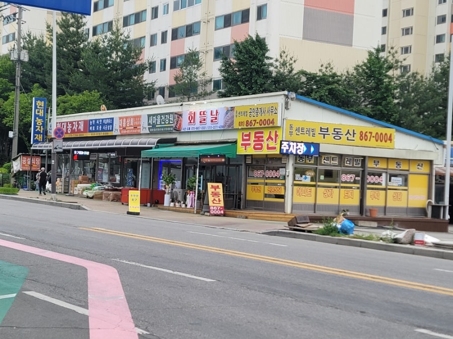 회뜰날 사진 2
