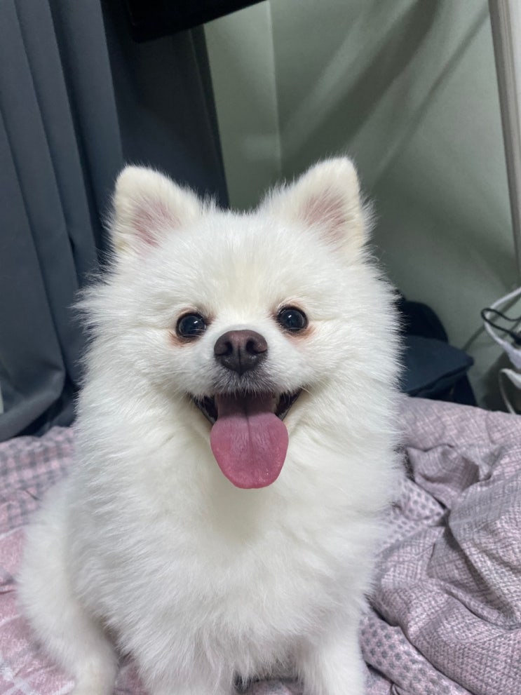  [룩또] 이번주 1071회 로또 당첨번호 조합 추천과 지난주 1070회 로또 당첨금 조회!
