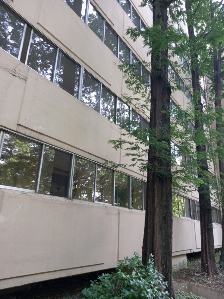 압구정로데오 현대 한양아파트 간단 단지임장