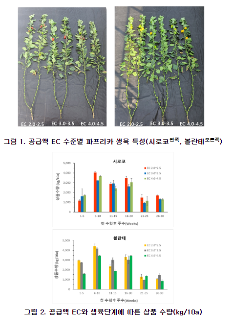 여름 파프리카 생육 단계별로 양액 농도 달리해야 여름 파프리카 생육 단계별로 양액 농도 달리해야