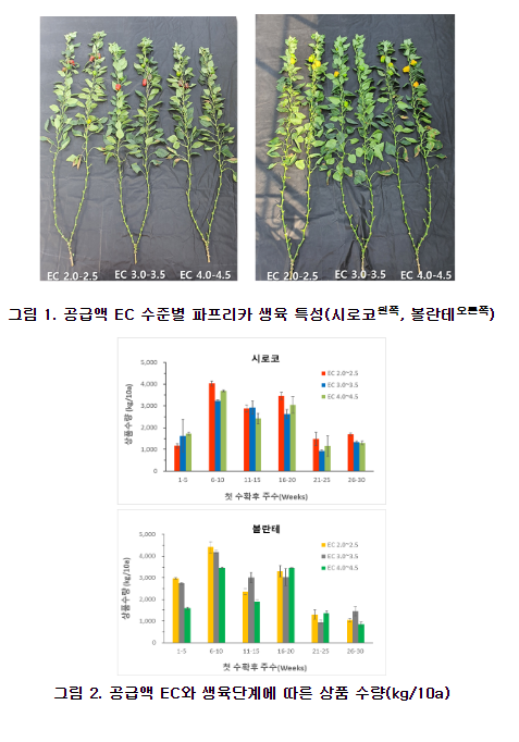 여름 파프리카 생육 단계별로 양액 농도 달리해야