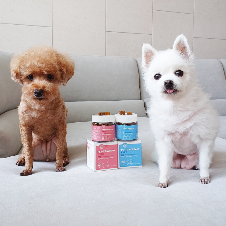  강아지 영양제 페티포포 아이즈 눈물쓱싹, 조인트 관절튼튼 후기