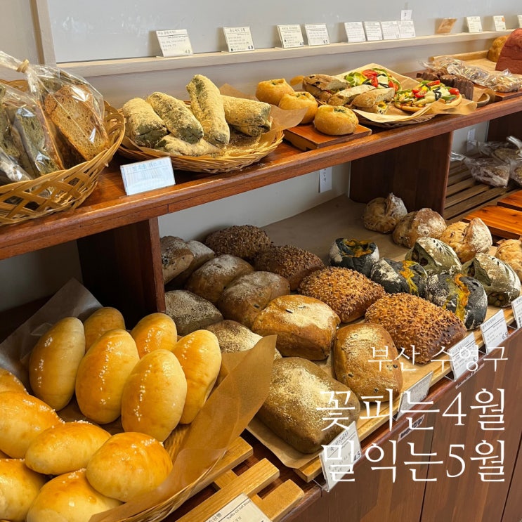  망미단길 맛집 꽃피는4월밀익는5월 비건 베이커리 망미동 카페
