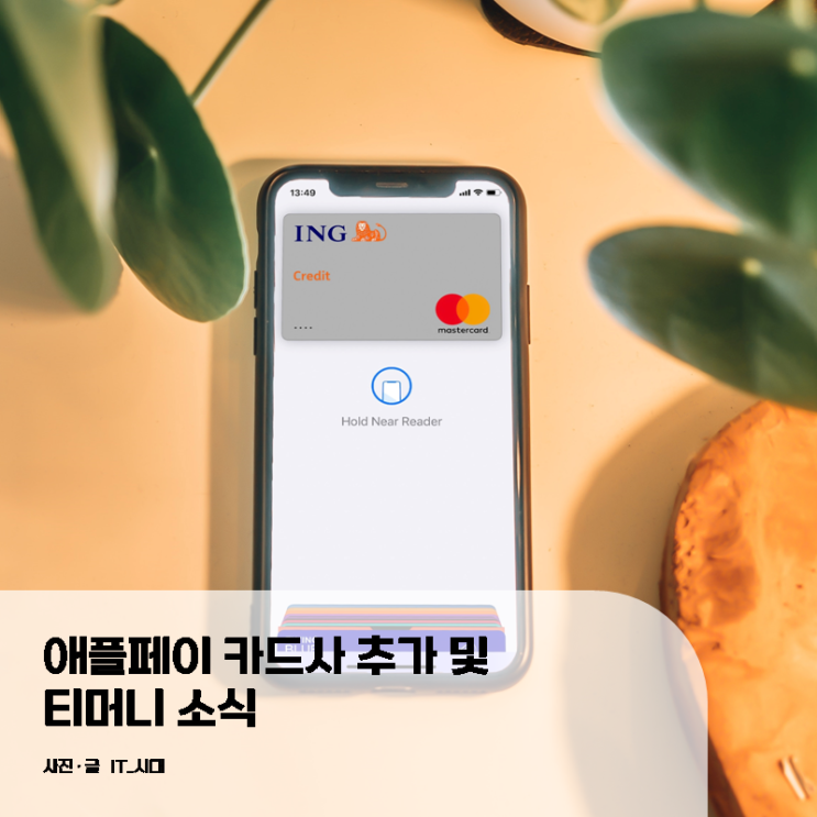  애플페이 카드사 추가 및 티머니 소식