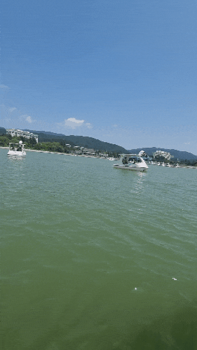  경주보문단지 당일치기여행 페달오리배타기