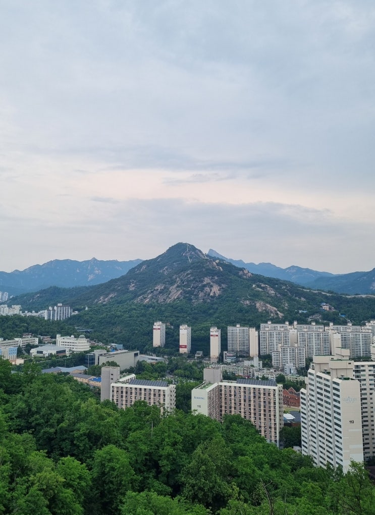  서울 서대문구/ 안산메타세콰이어숲과 멋진 경치가 있는 곳 (경기도 안산 아님)